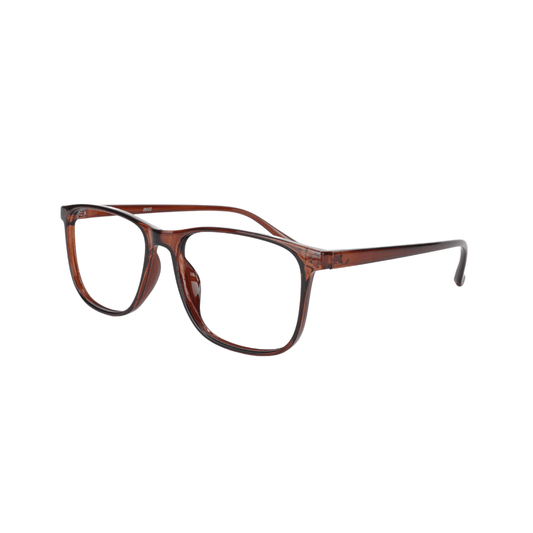Non Branded Eye Glasses P566