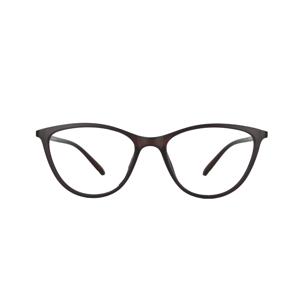 Non Branded Eye Glasses P573