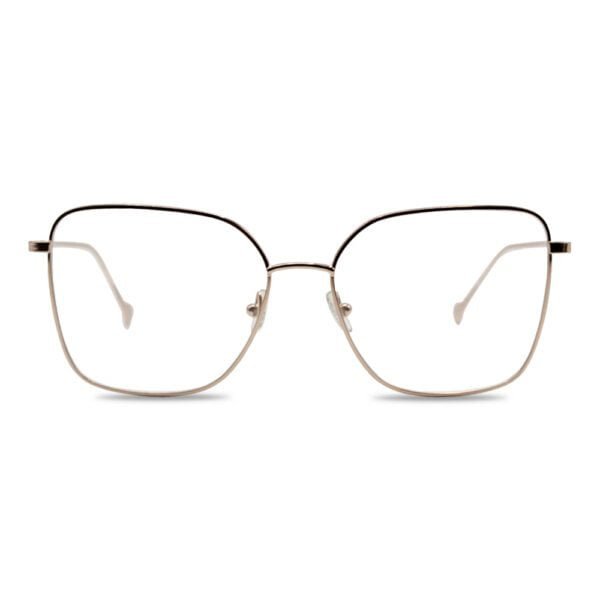 Salvatore Ferragamo glassess