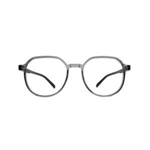 Grey Transparent Round Eyeglasses with Black Temples