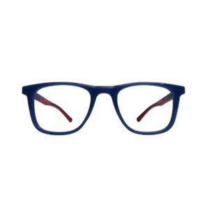Kids Blue & Red Eyeglasses