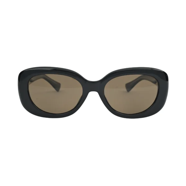 Black Round Sunglasses with brown shade