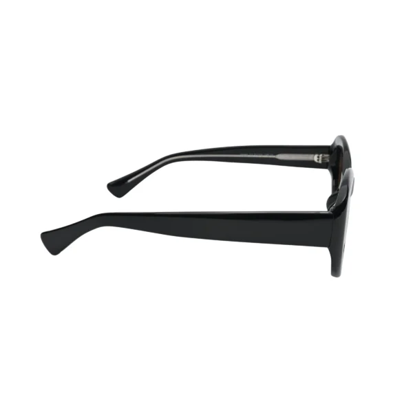 Affordable Black Round Sunglasses with brown shade Side angle