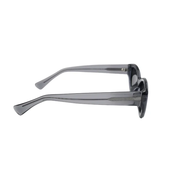 Transparent Grey Glasses Side View Seasonal Wear