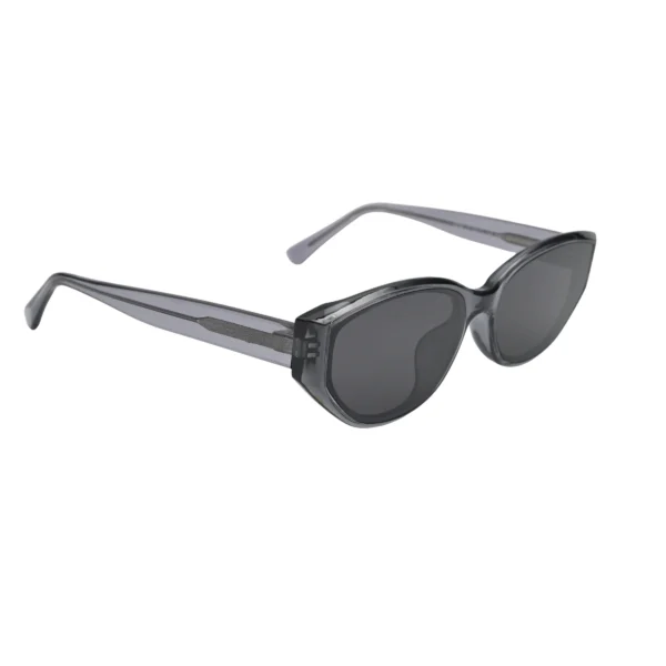 Transparent Grey Cat Eye Side Angle Sunglasses Female