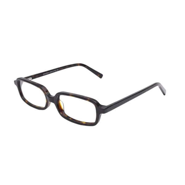 Side view of glossy full frame with tortoise pattern arms