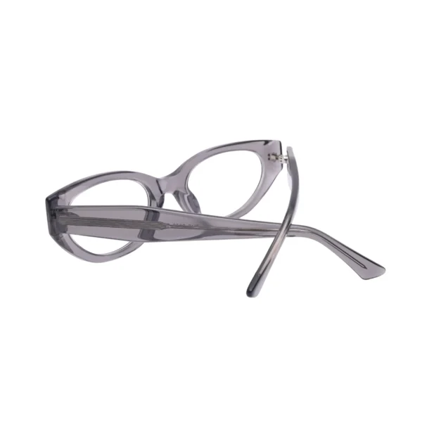 Close view of hinge area on translucent grey plastic frame