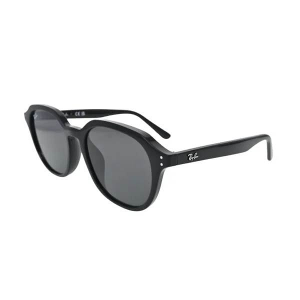 RB4459D 901/87 side profile — black propionate square frame with Ray-Ban script logo on temple and dark grey lenses