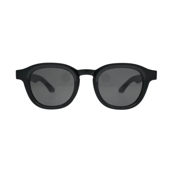 Front view of black panto round sunglasses with flat smoke grey lenses and thick black frame